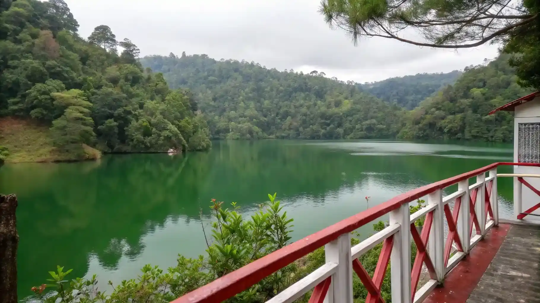 Lake Limbong | Tour Toraja