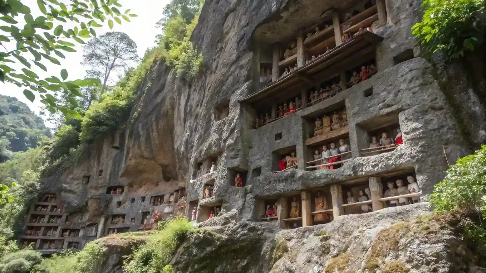 cultural Tour | Tour Toraja