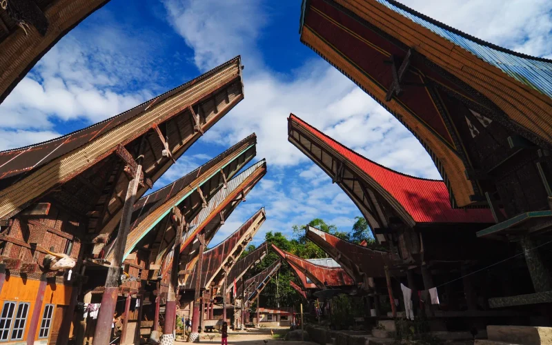 Carved tongkonan roofs rising against a blue sky in a traditional Toraja village