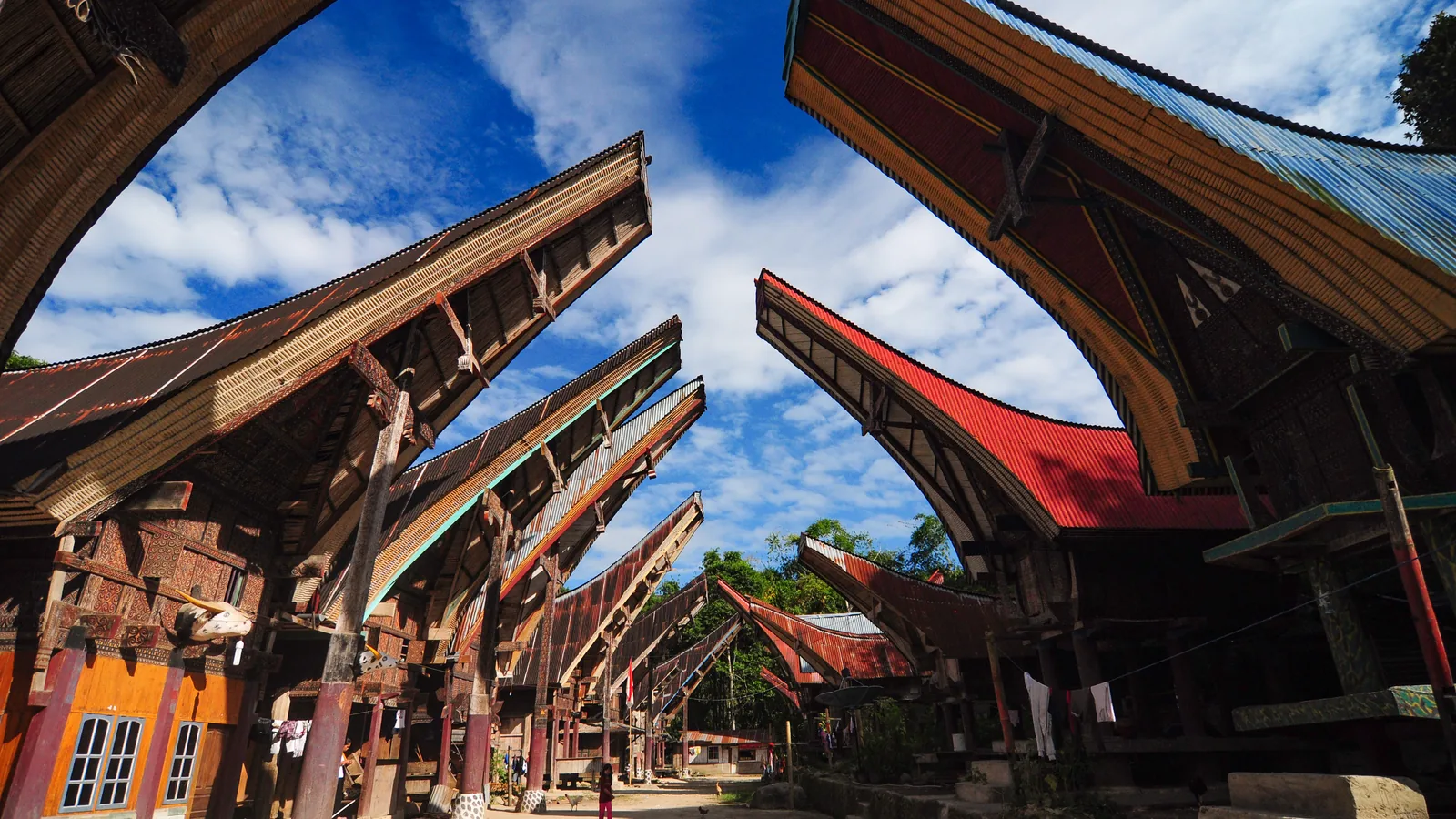 Carved tongkonan roofs rising against a blue sky in a traditional Toraja village