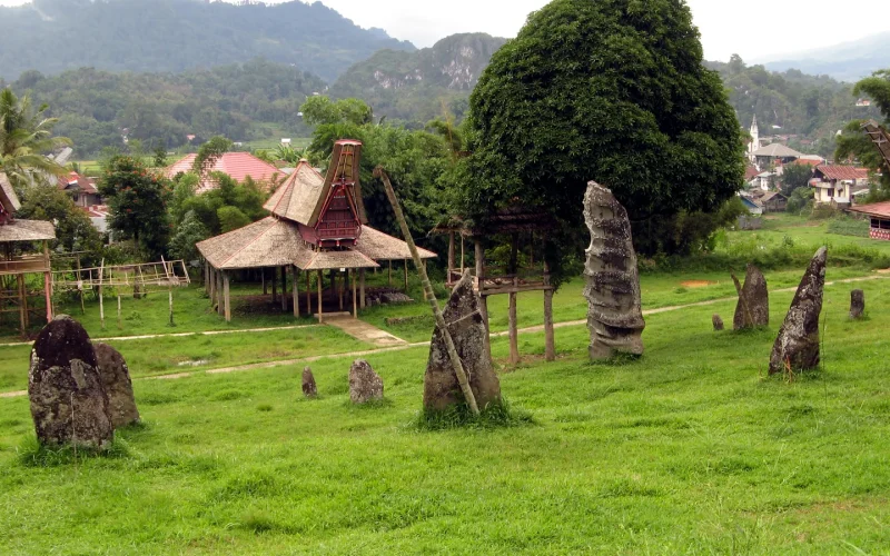Field of upright funerary megaliths standing before tongkonan houses in Tana Toraja