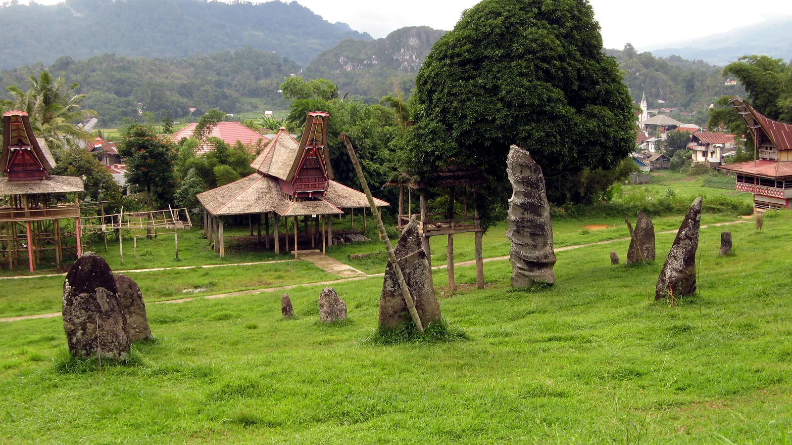 Field of upright funerary megaliths standing before tongkonan houses in Tana Toraja