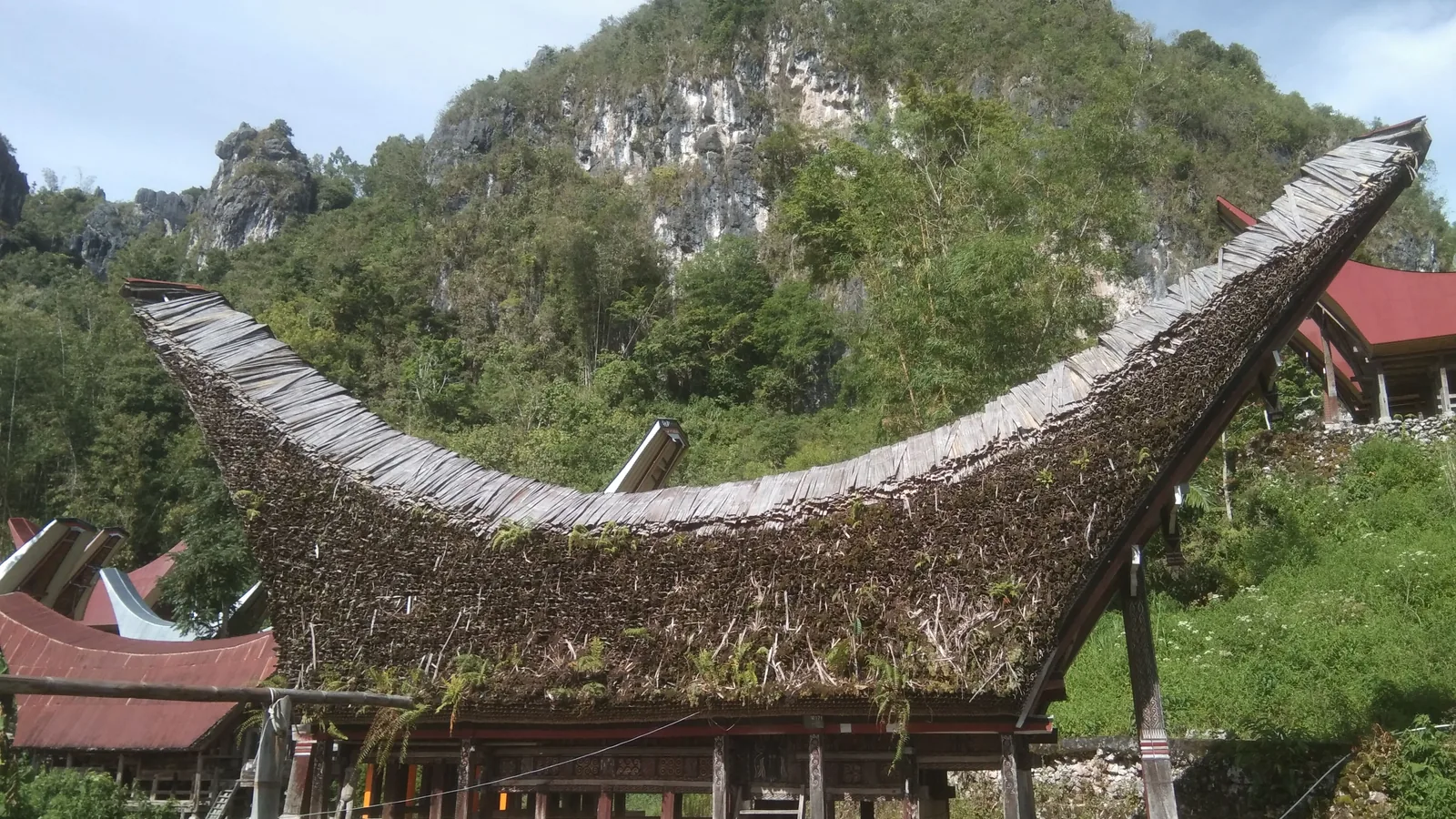 Upswept bamboo roof of a traditional Toraja tongkonan house framed by limestone karst hills