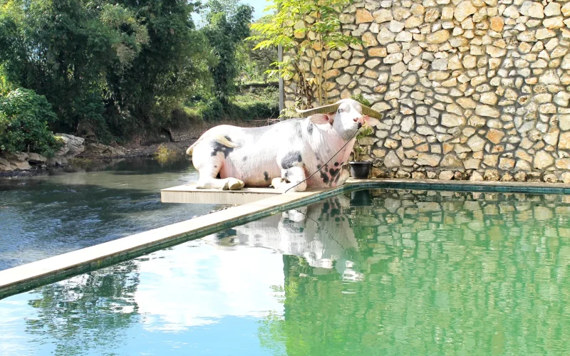 Resort swimming pool beside the Sa'dan River in Rantepao, Tana Toraja