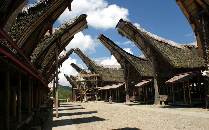 Tongkonan houses and rice barns facing each other across the courtyard at Palawa, Tana Toraja