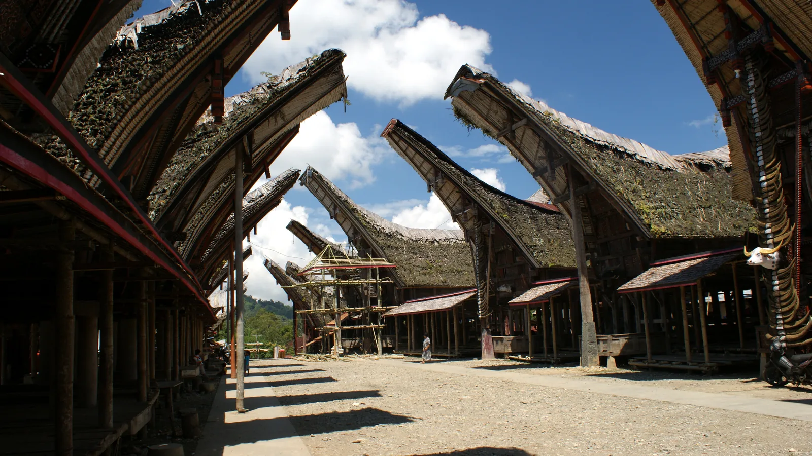 Tongkonan houses and rice barns facing each other across the courtyard at Palawa, Tana Toraja